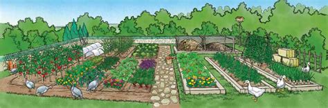 82 Sustainable Gardening Tips Organic Gardening Mother
