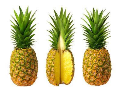 Manfaat dan khasiat buah nanas bagi kesehatan sudah terbukti secara klinis maupun secara tradisional. Manfaat dan Khasiat Buah Nanas Bagi Kesehatan | Artikel ...
