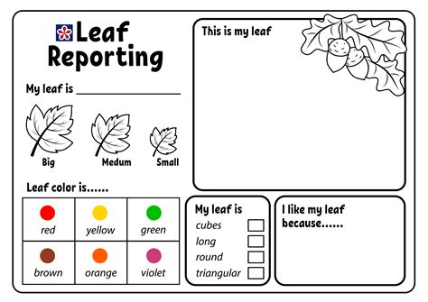 Free Printable Leaf Worksheets
