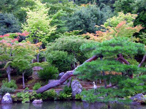 Peaceful Landscape In Japan Japanese Garden In Kyoto City Inner Japan