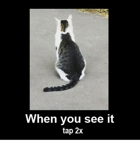 List 100 Pictures When You See It Pictures Funny Full Hd 2k 4k
