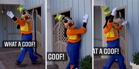 Video Goofy Walks Into Wall As He Waves Goodbye To Disney Guests