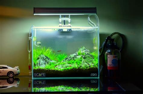 Harga tebing air terjun mini aquarium aquascape 19cm bonus pasir silika 1kg. Inilah 10 Ide Kreasi Untuk Membuat Mini Aquascape - Ikan ...