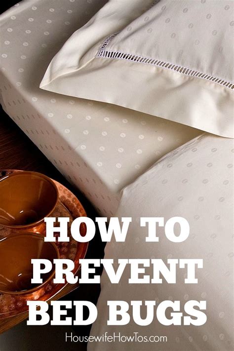 How To Prevent Bed Bugs Easy Steps To Keep From Bringing Them Into Your Home Where They Can