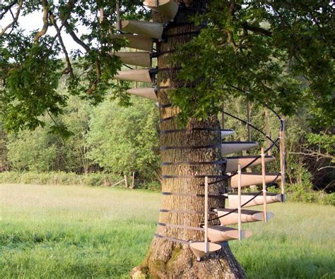 Designed by robert mcintyre and thor ter kulve, canopystair is a modular system of steps that can be attached without any tools in order to form a spiral staircase around a tree trunk. Brazilian Rain Bonsai Tree | Spiral staircase, Tree canopy ...