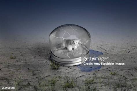 Broken Snow Globe Photos And Premium High Res Pictures Getty Images