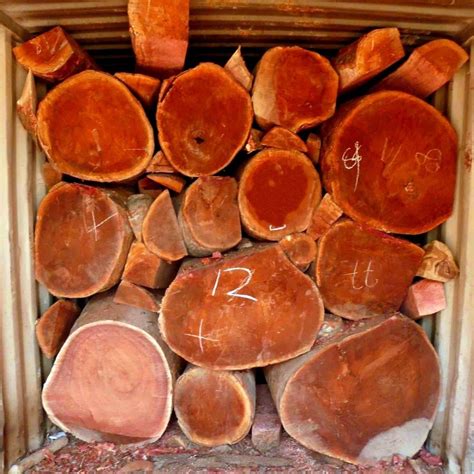 African Rosewood Logs At Rs 1000meter Rosewood Logs शीशम लकड़ी का लॉग Sipex Trade