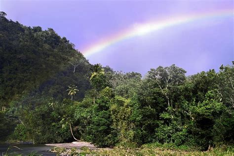 Layou River With Rainbow Photograph By Sally Weigand Fine Art America