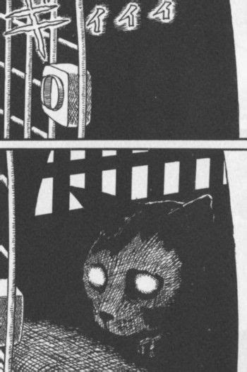 Junji Ito S Cat Diaries