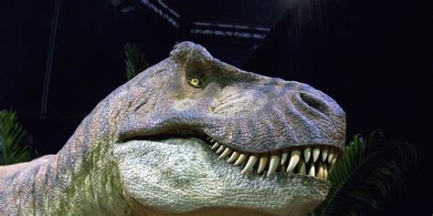 De wikipedia, la enciclopedia libre. Expertos descubren un mini dinosaurio primo del T-rex | Chispa