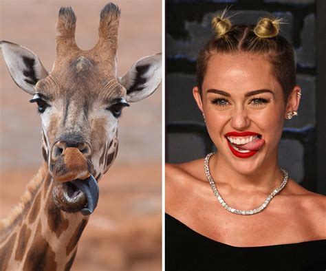 12 Famous People Who Look Exactly Like Animals Madspread