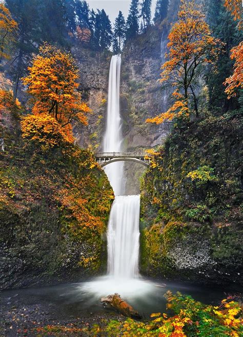 Image Result For Multnomah Falls Autumn Scenery Waterfall Scenery