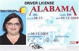 Al Drivers License Test Images