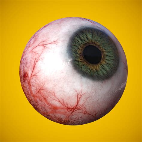 Artstation Eye Anatomy Photorealistic Eyeball Resources