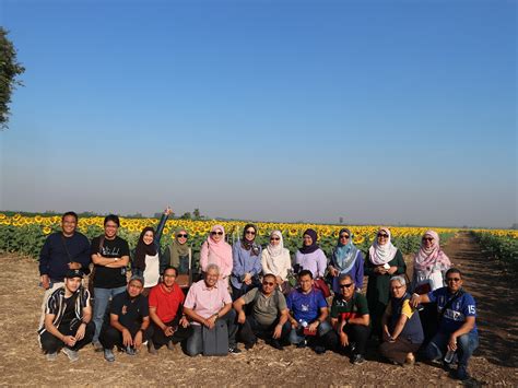 Tarikan utama di lopburi ni memang sudah jelas adalah ladang bunga matahari nya, selain dari itu sebenarnya terdapat juga tinggalan kuil purba yang korang boleh lihat di sekitar bandar lopburi, antara yang paling popular ialah prang sam yod ataupun turut dikenali sebagai the monkey temple, memang banyak gila monyet kat situ. Hari 3: Kenangan Terindah Di Ladang Bunga Matahari di ...