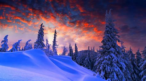 Discover 73 Snow Wallpaper 4k Super Hot Incdgdbentre