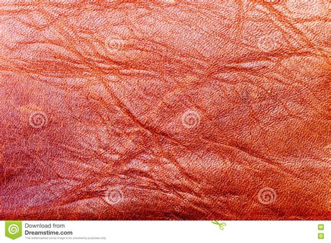 Orange Texture Leather Skin Stock Photo Image Of Animal Wallpaper