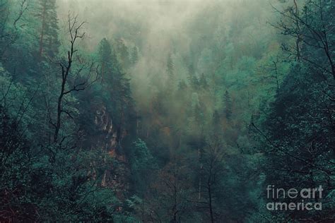 Beautiful Mystical Landscape Fog Photograph By Poprotskiy Alexey Fine