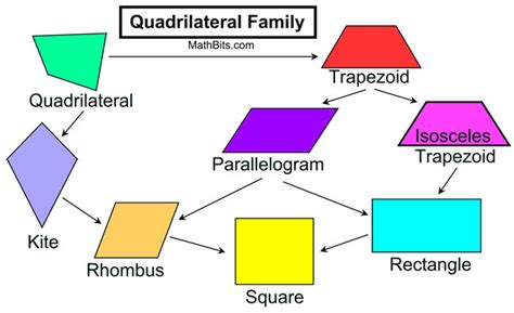 Quadrilateral Properties Diagram Quizlet