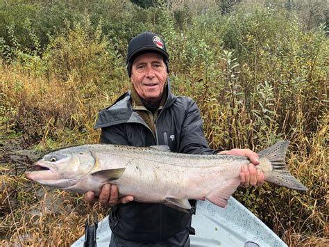 Salmon Season Winds Down Steelhead Next Wild Rivers Fishing