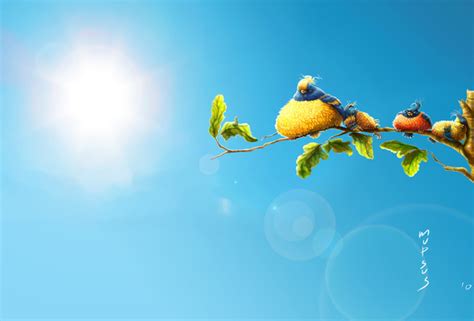 34 Summer Birds Wallpaper Wallpapersafari