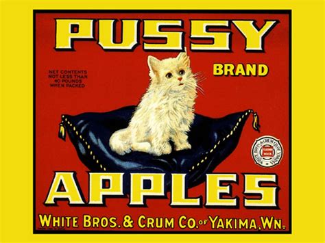 Crate Label Pussy White Cat Apples Fruits Yakima Vintage Poster Repro