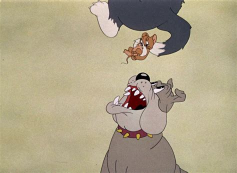 The dog house is the 72nd animated tom and jerry short, directed by william hanna and joseph acompanha o tom & jerry enquanto eles se perseguem um ao outro, fogem do spike, e andam com. Tom & Jerry Pictures: "Dog Trouble"