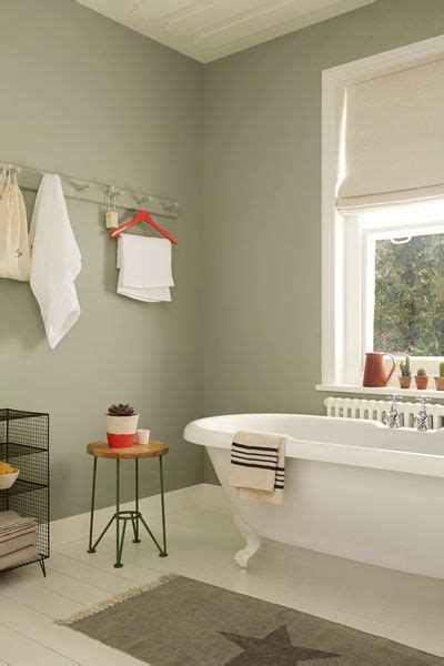 Light Olive Green Paint Color Emmily News