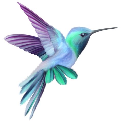 Flying Watercolor Hummingbird Png Transparent Image Png Mart