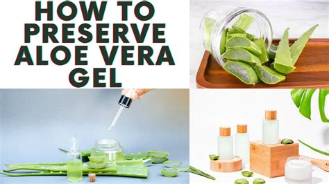 3 Ways To Store And Preserve Fresh Aloe Vera Gel For Natural Hair Youtube