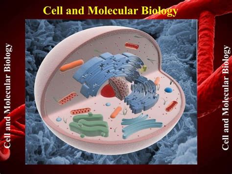 Cell And Molecular Biology Introduction Ppt