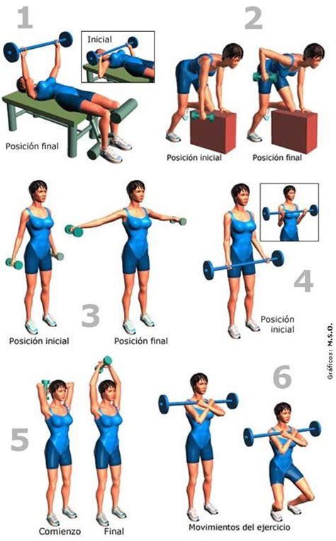 A día de hoy, el entrenamiento de pecho es el más practicado por todos los que acuden a una sala de ¿cuáles son los mejores ejercicios para pectorales sin pesas? Pin en fitness