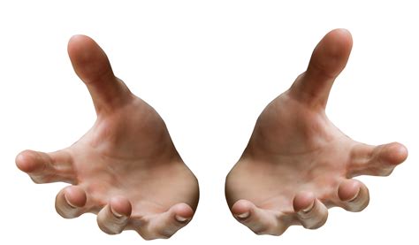 Png Two Hands Transparent Two Handspng Images Pluspng