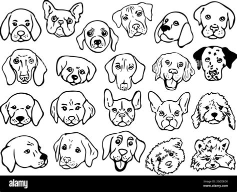 Vector Illustration Set With Outlines Of Different Breeds Dog Faces