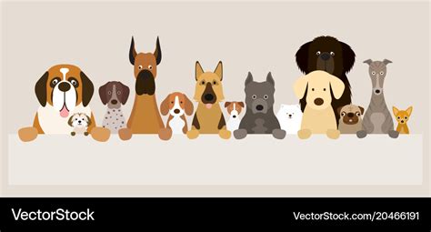 Group Of Dog Breeds Holding Banner Royalty Free Vector Image