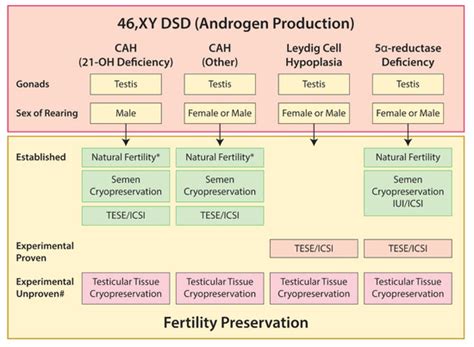ijms free full text disorders of sex development—novel regulators impacts on fertility and