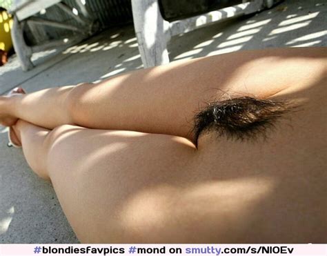 Hairy Mound Mond Pubis Pubic Mound Pussy Hairy Pussy Hairy