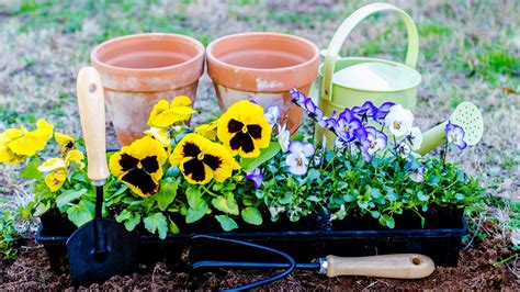 How To Get Your Garden Ready For Spring Planting Gizmodo Australia