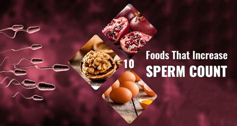 10 foods that increase sperm count