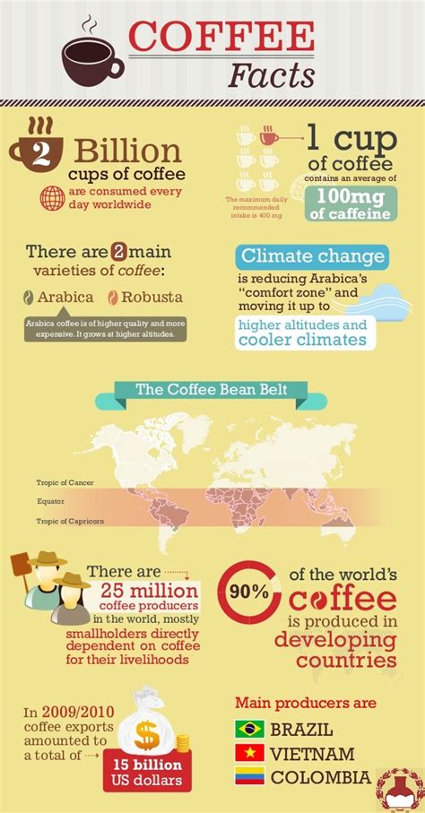 Fun Facts About Coffee Visually
