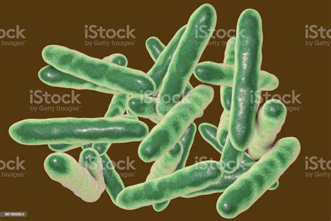 Tropheryma Whipplei Bacteria The Causative Organism Of Whipples Disease