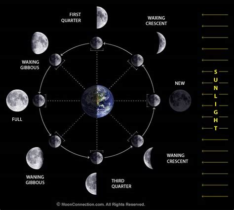 Science Doing: Astronomical Bodies: Moon Phases
