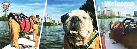 We also discovered that the most significant portion of the. Home - Austin Bulldog Rescue
