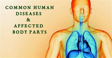 Common Human Disease And Affected Body Parts Psc Arivukal