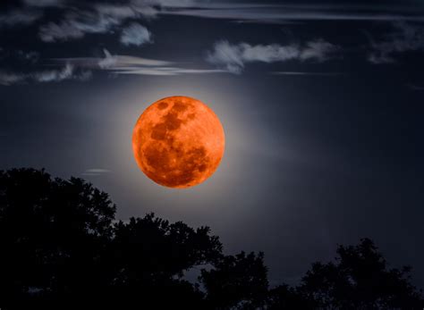 The Super Blood Wolf Moon Is Arriving Tonight •