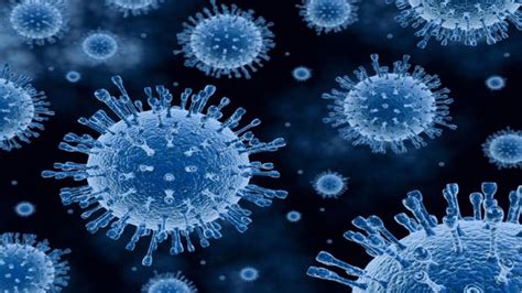 Infection Site Affects How A Virus Spreads Through The Body Infection Control Today