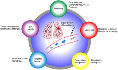 Frontiers Current Status Of Ctcs As Liquid Biopsy In Lung Cancer And