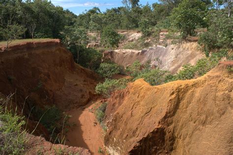 Soil Erosion In Malaysia Help Customers Avoid Soil Erosion And Runoff