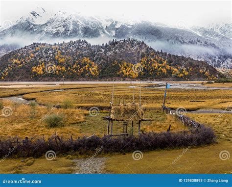 Autumn In Highland Tibet China Stock Image Image Of Farm G317