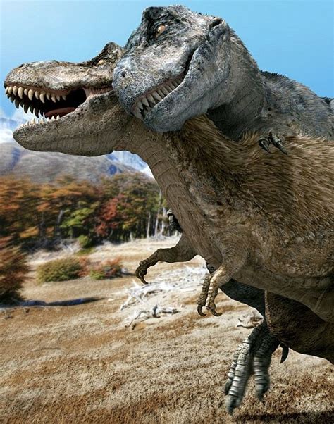 Scientists Reveal How Dinosaurs May Have Had Sex And The Length Of A T